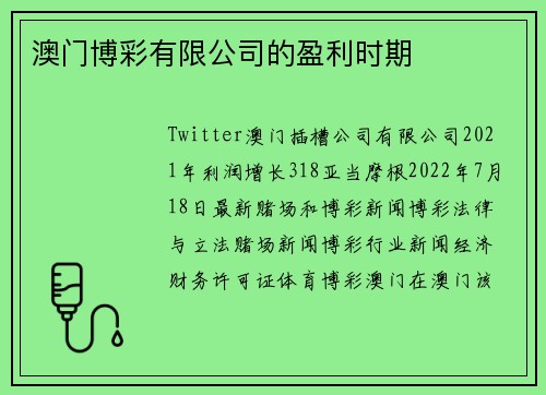 澳门博彩有限公司的盈利时期
